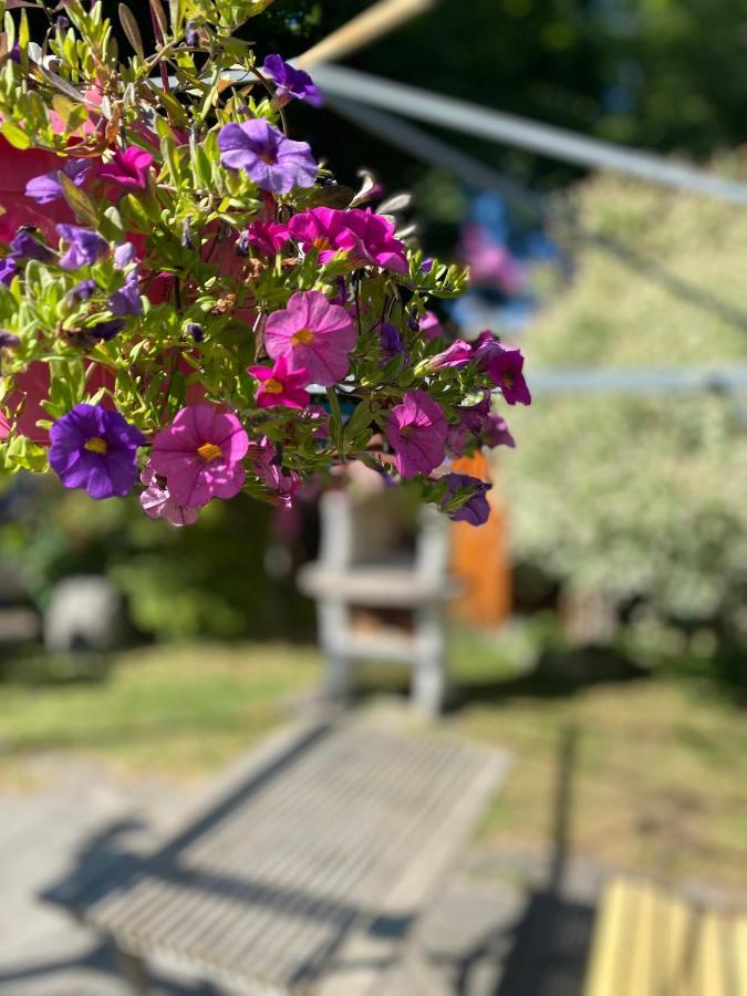 Ferienwohnung Am Franziskanergarten Bad Tölz Eksteriør billede