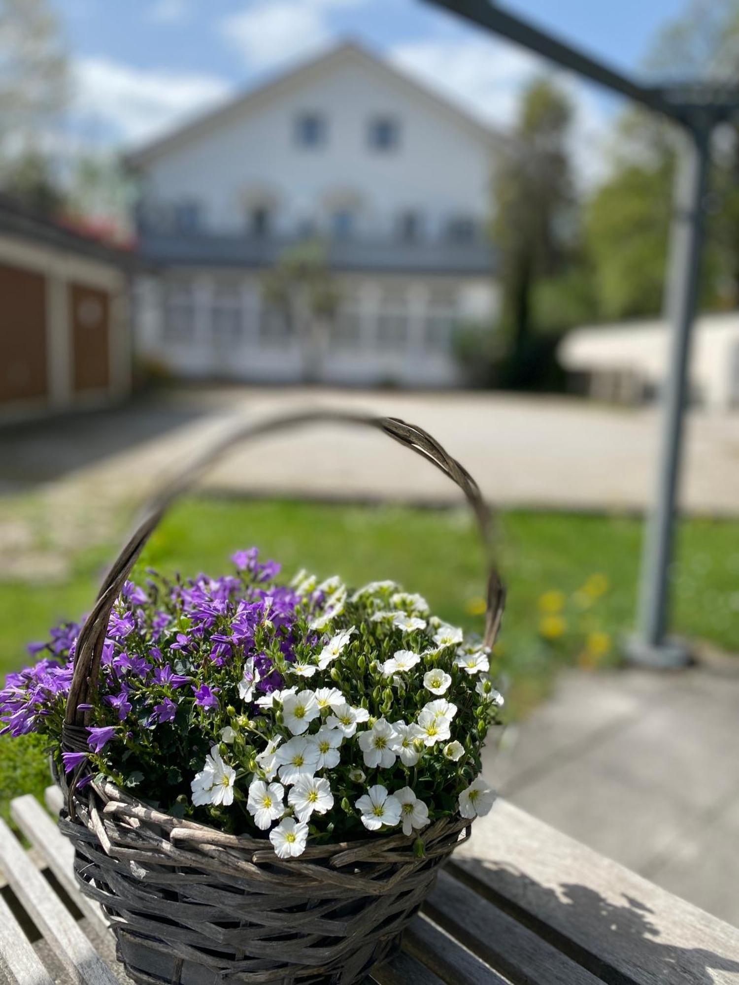 Ferienwohnung Am Franziskanergarten Bad Tölz Eksteriør billede